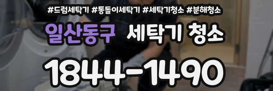 일산동구 세탁기 청소