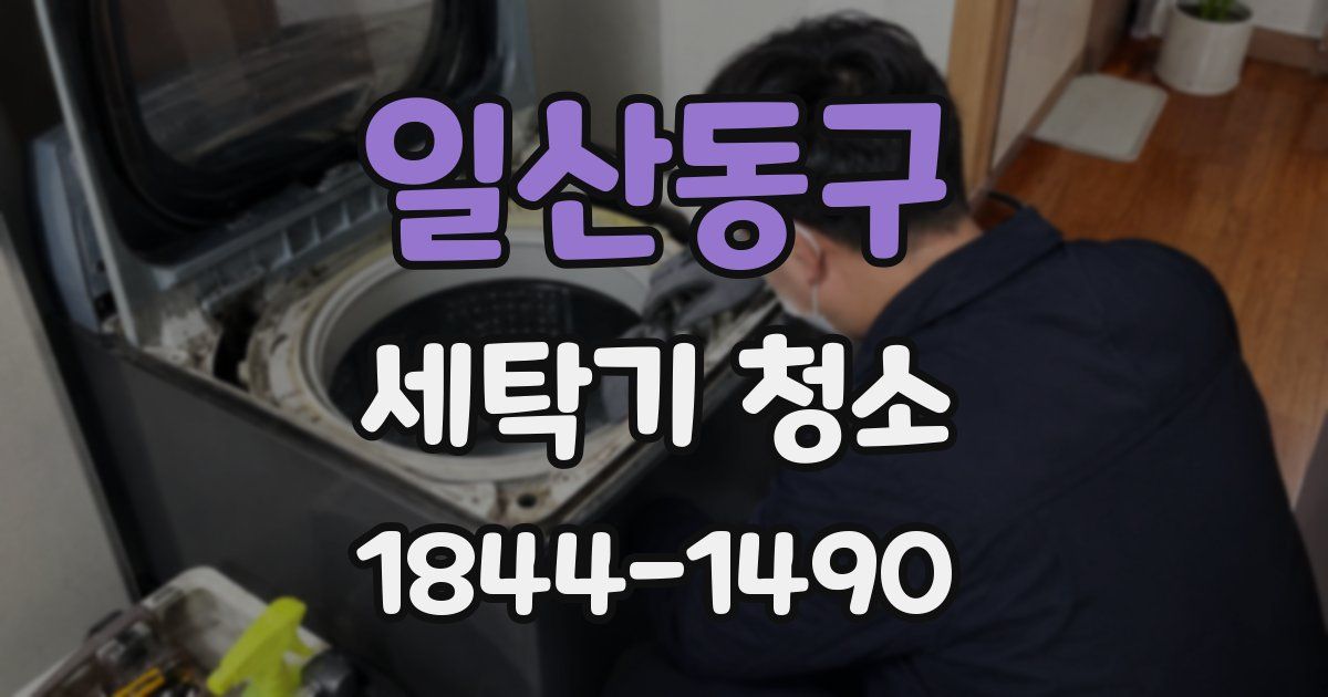 일산동구 세탁기 청소