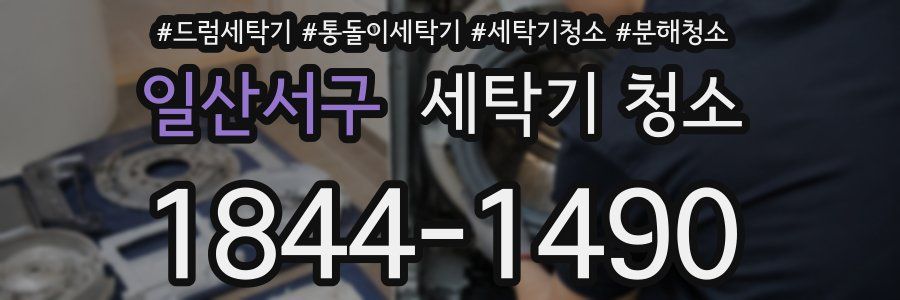 일산서구 세탁기 청소