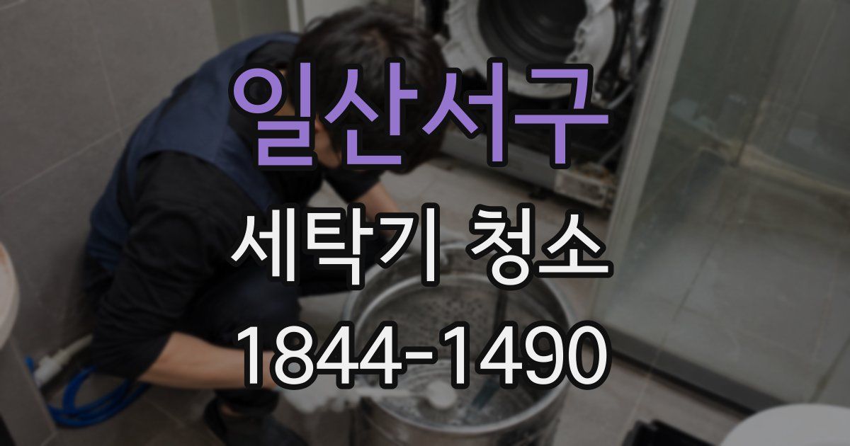일산서구 세탁기 청소