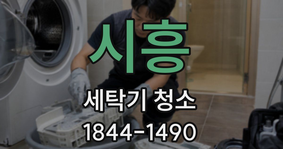 시흥 세탁기 청소