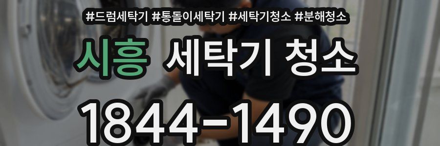 시흥 세탁기 청소