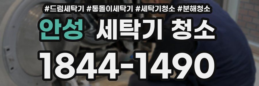 안성 세탁기 청소