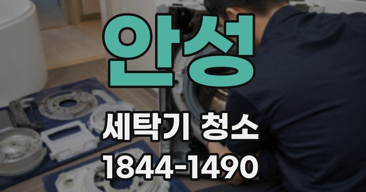 안성 세탁기 청소