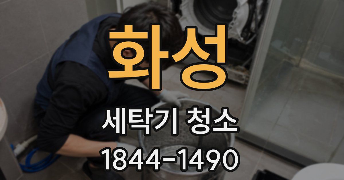 화성 세탁기 청소