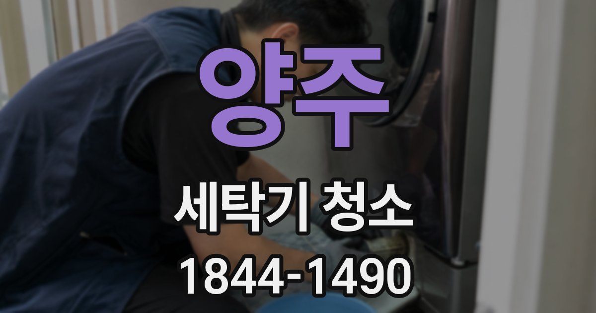 양주 세탁기 청소