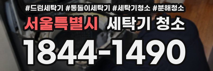 서울특별시 세탁기 청소
