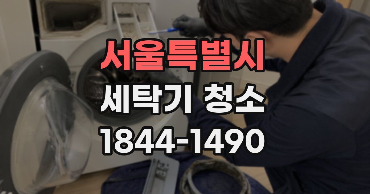 서울특별시 세탁기 청소