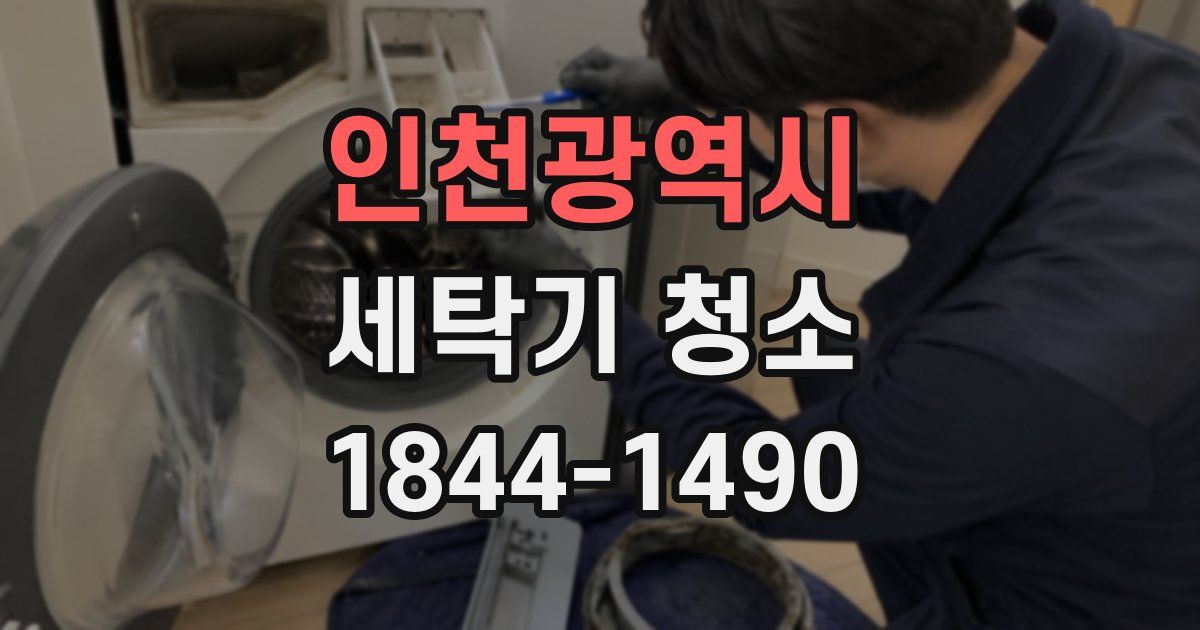 인천광역시 세탁기 청소
