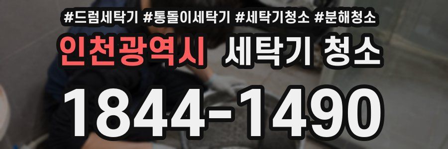 인천광역시 세탁기 청소