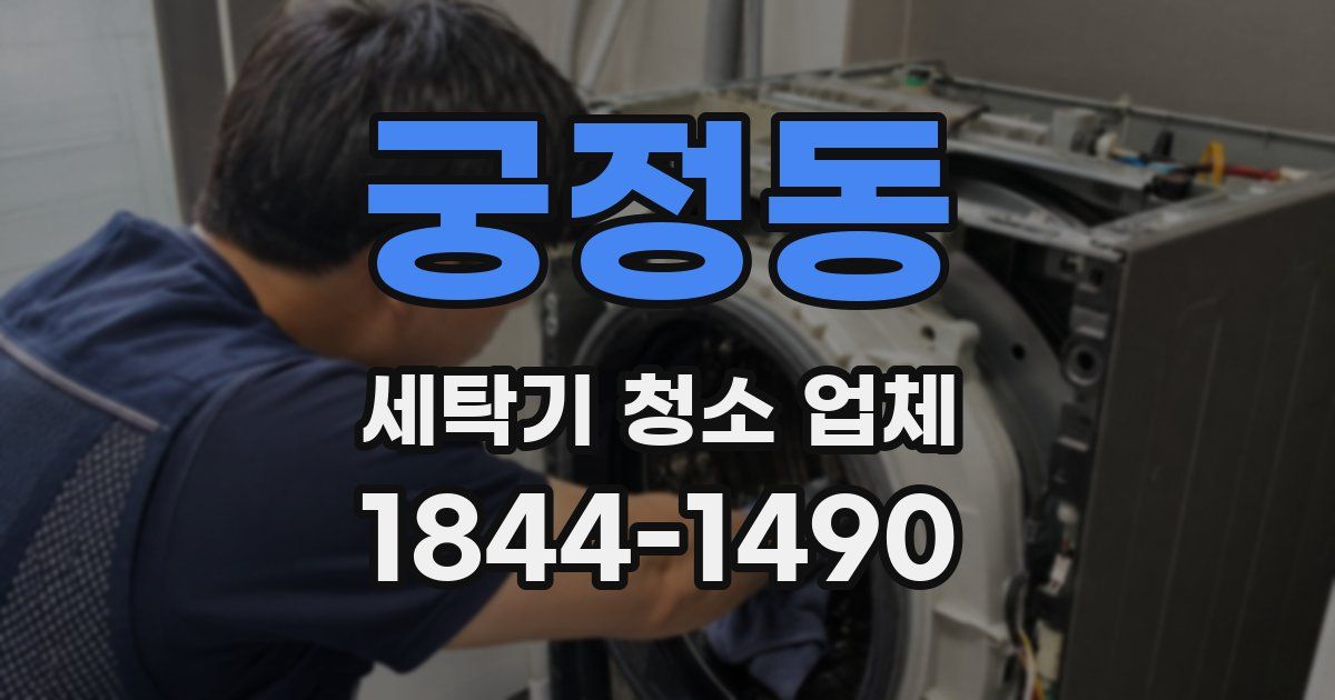 궁정동 세탁기 청소 업체