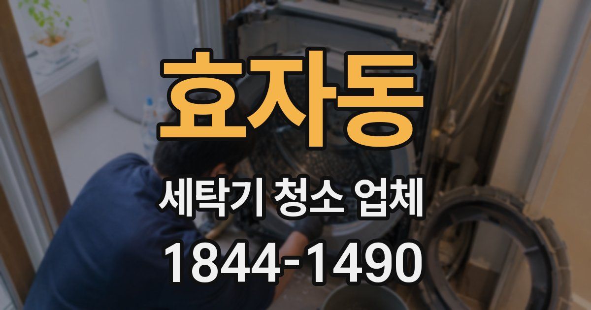 효자동 세탁기 청소 업체