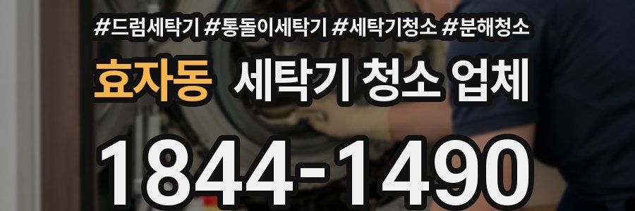 효자동 세탁기 청소 업체
