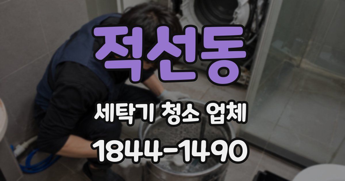 적선동 세탁기 청소 업체