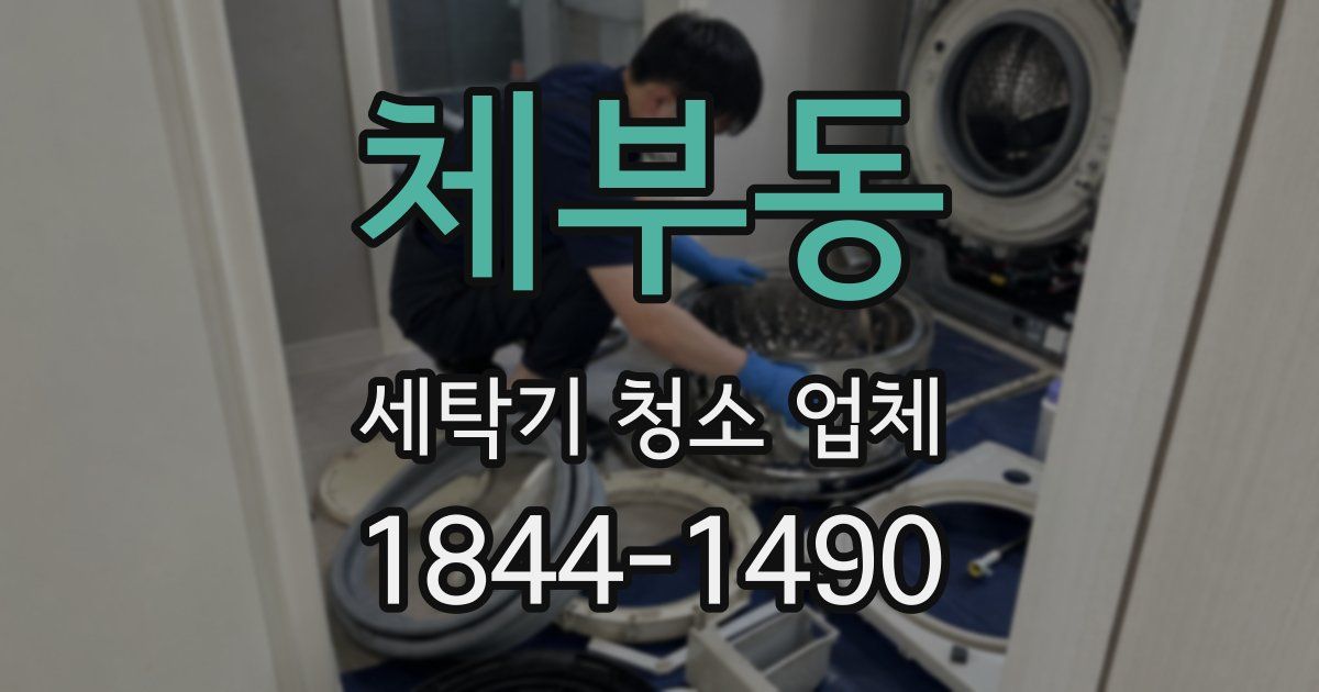 체부동 세탁기 청소 업체