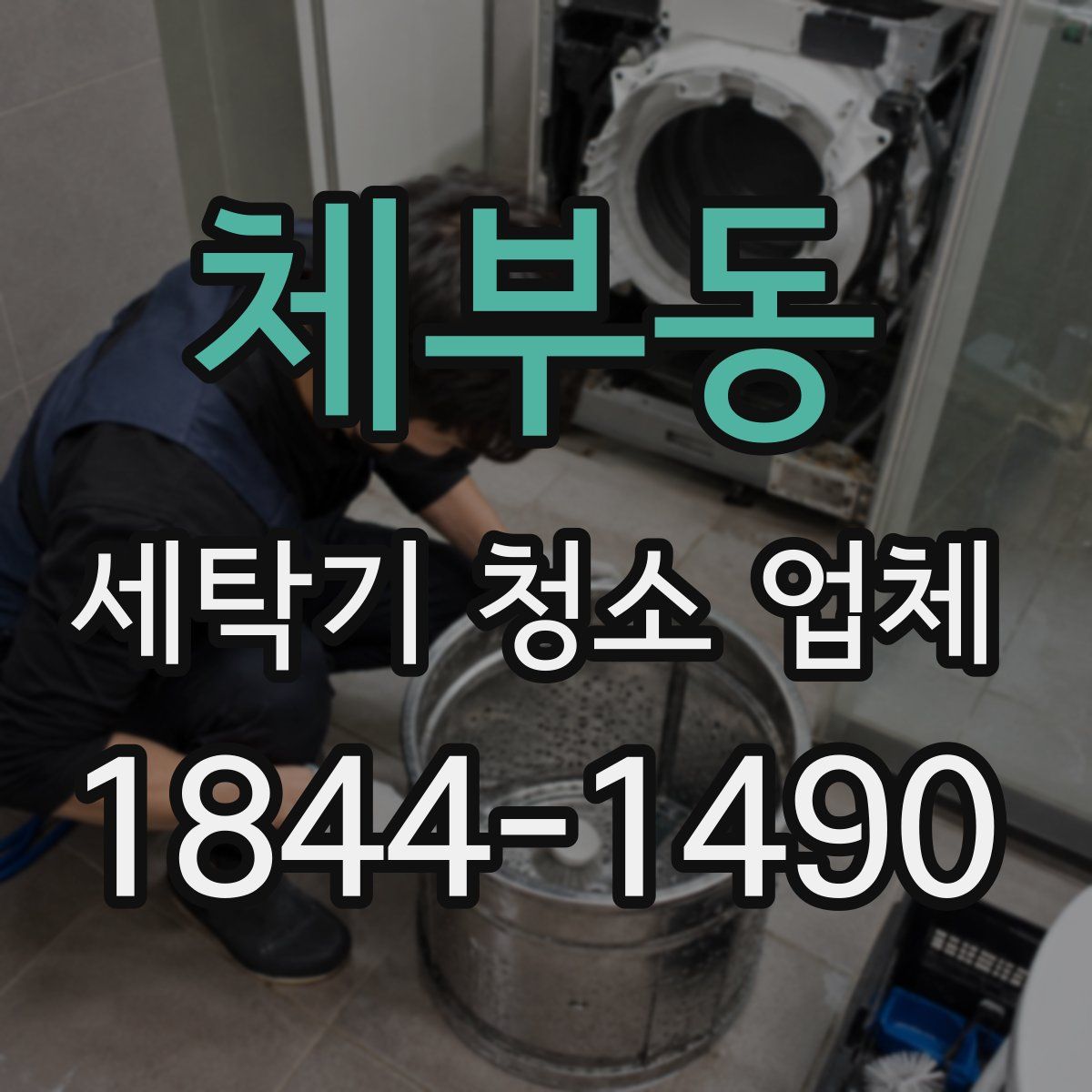 체부동 세탁기 청소 업체