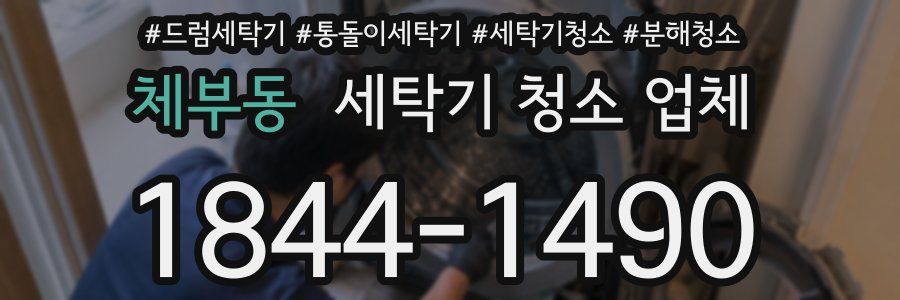 체부동 세탁기 청소 업체
