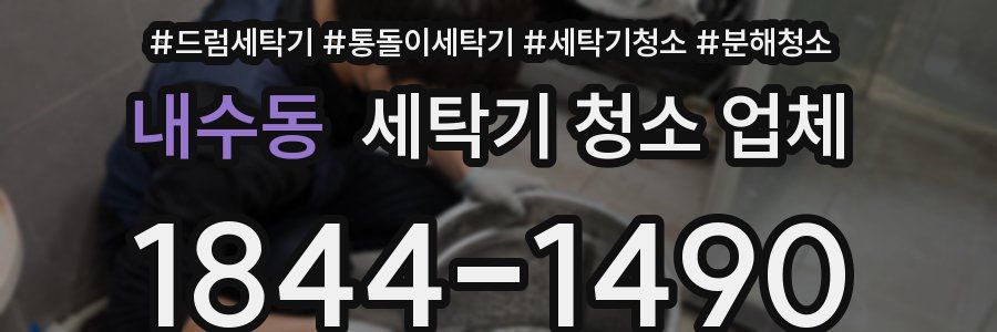 내수동 세탁기 청소 업체