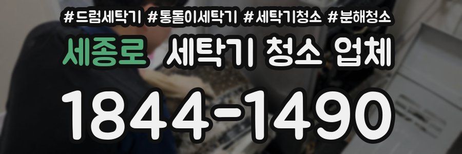 세종로 세탁기 청소 업체