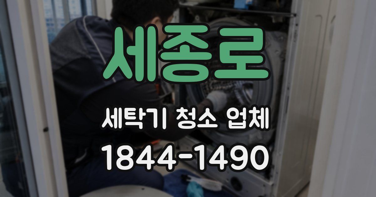 세종로 세탁기 청소 업체