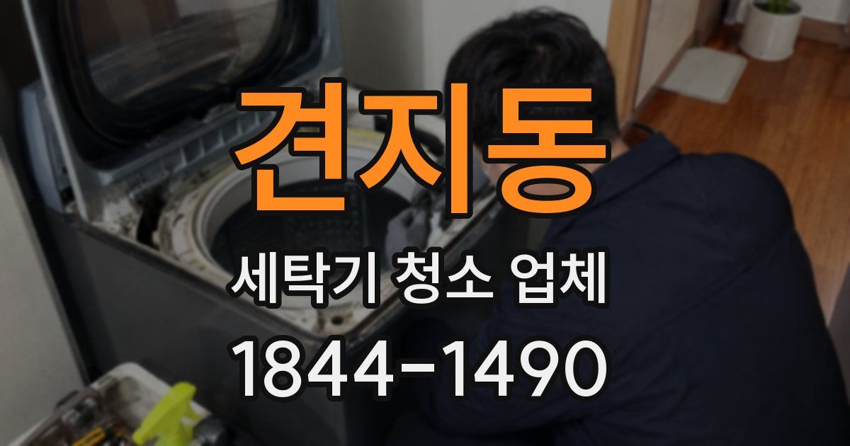 견지동 세탁기 청소 업체