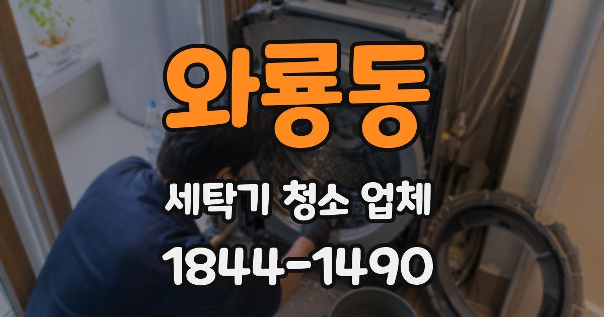와룡동 세탁기 청소 업체