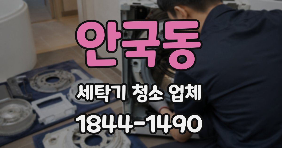 안국동 세탁기 청소 업체