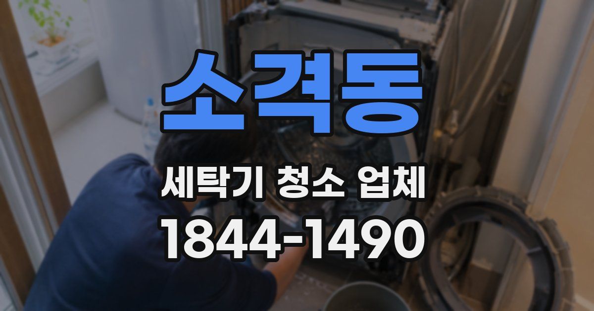 소격동 세탁기 청소 업체