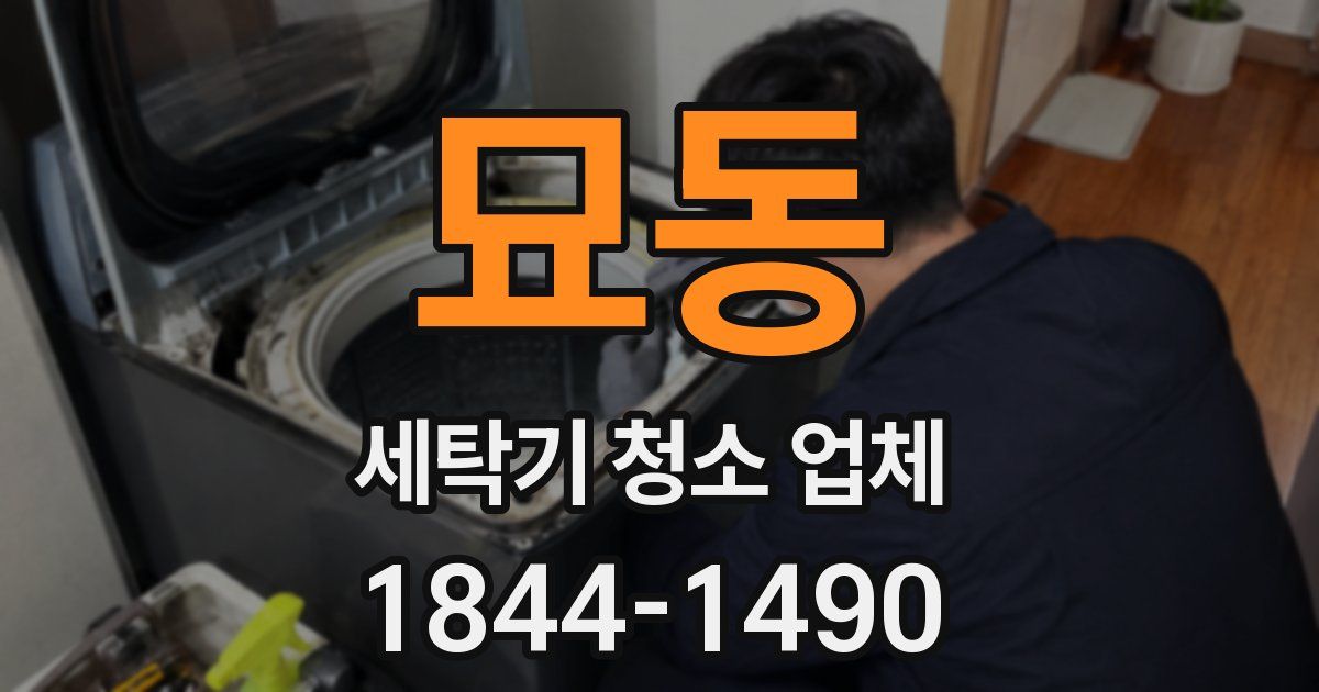 묘동 세탁기 청소 업체