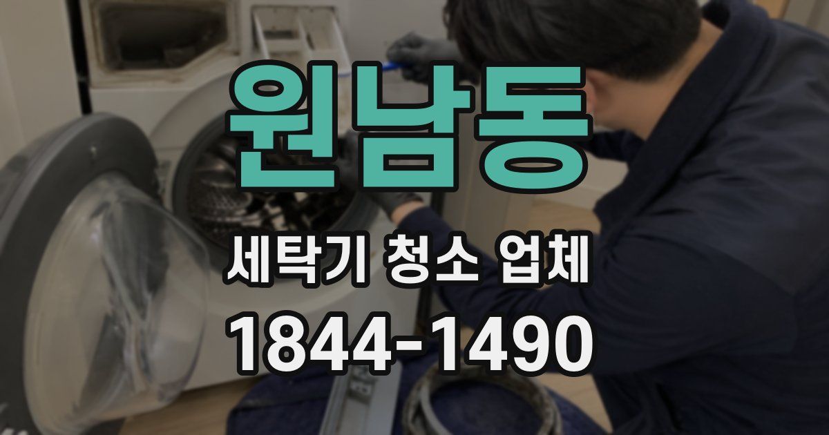 원남동 세탁기 청소 업체