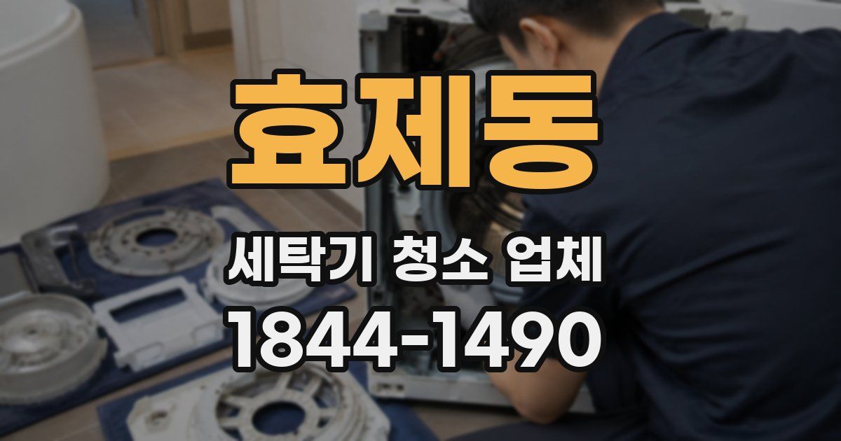 효제동 세탁기 청소 업체