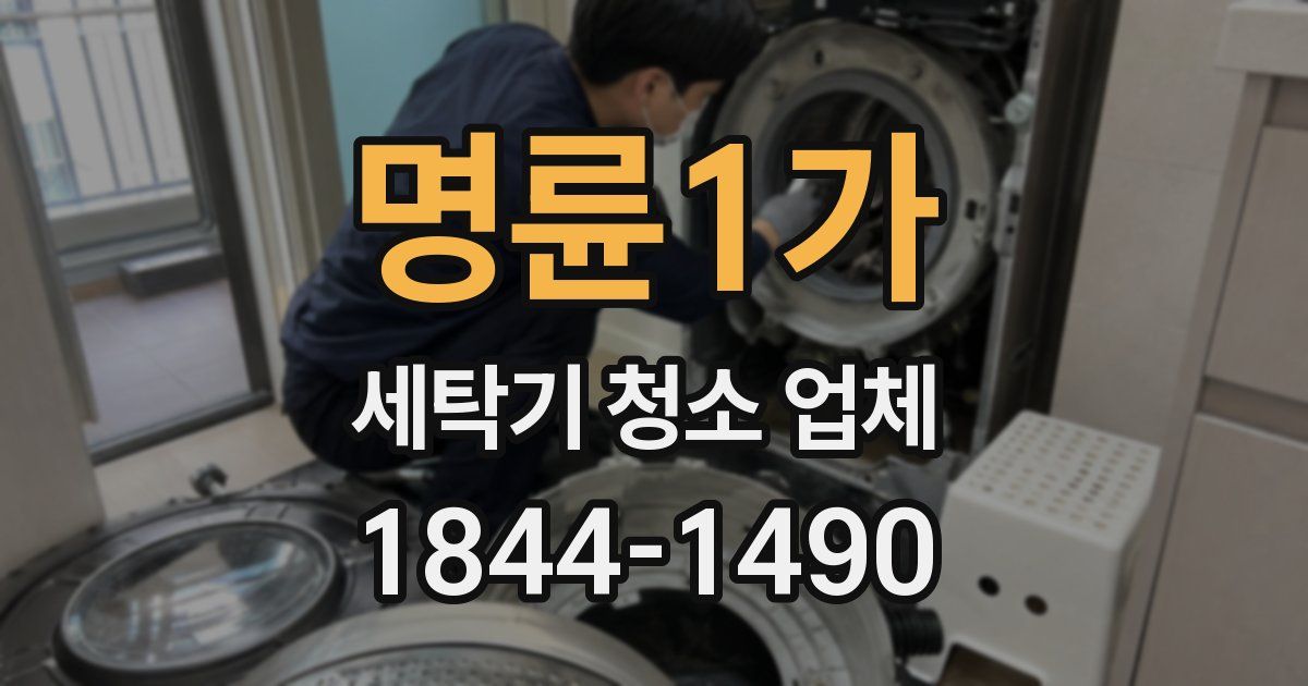 명륜1가 세탁기 청소 업체