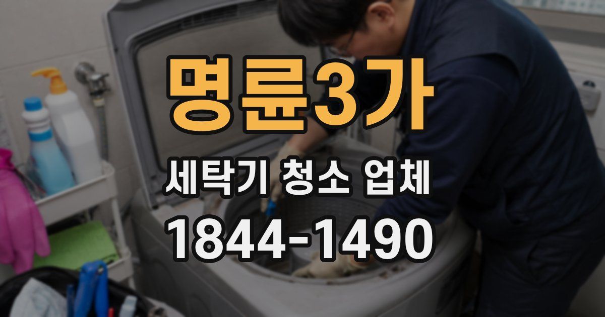 명륜3가 세탁기 청소 업체
