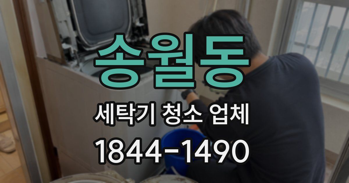 송월동 세탁기 청소 업체