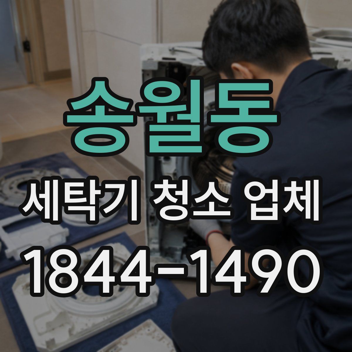 송월동 세탁기 청소 업체