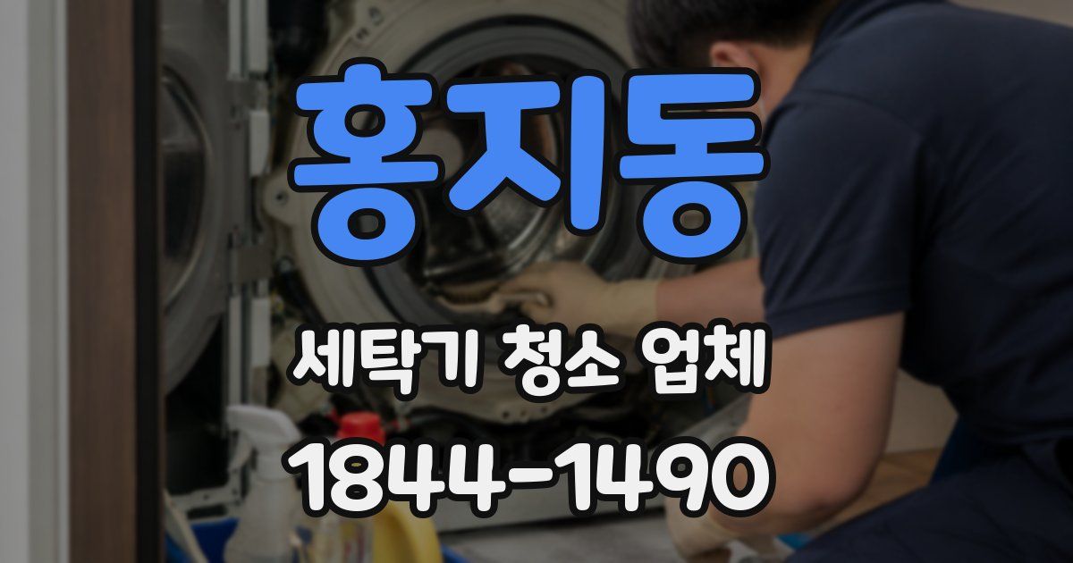 홍지동 세탁기 청소 업체