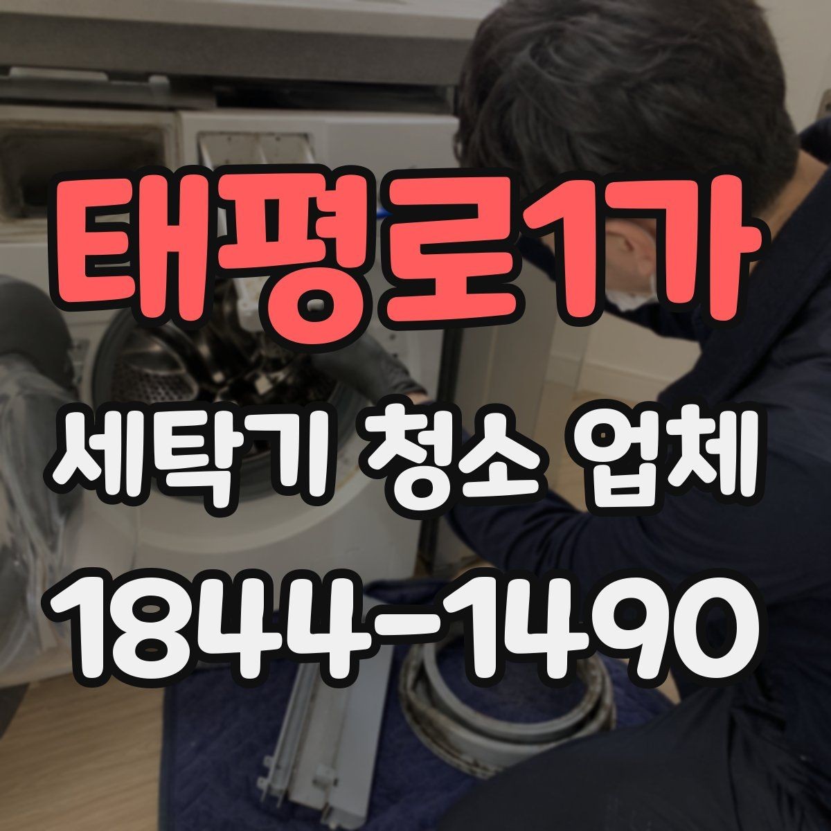 태평로1가 세탁기 청소 업체 고무패킹 숨은 오염 확인 포인트