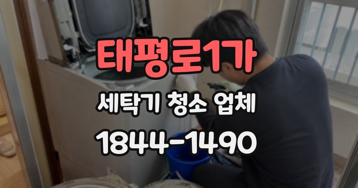 태평로1가 세탁기 청소 업체