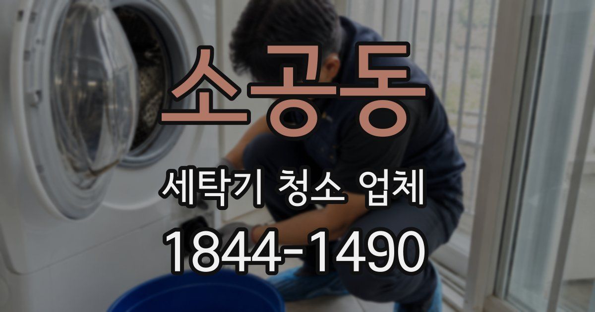 소공동 세탁기 청소 업체