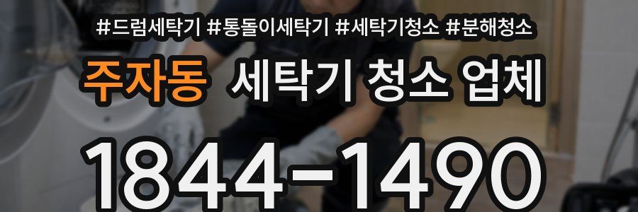 주자동 세탁기 청소 업체