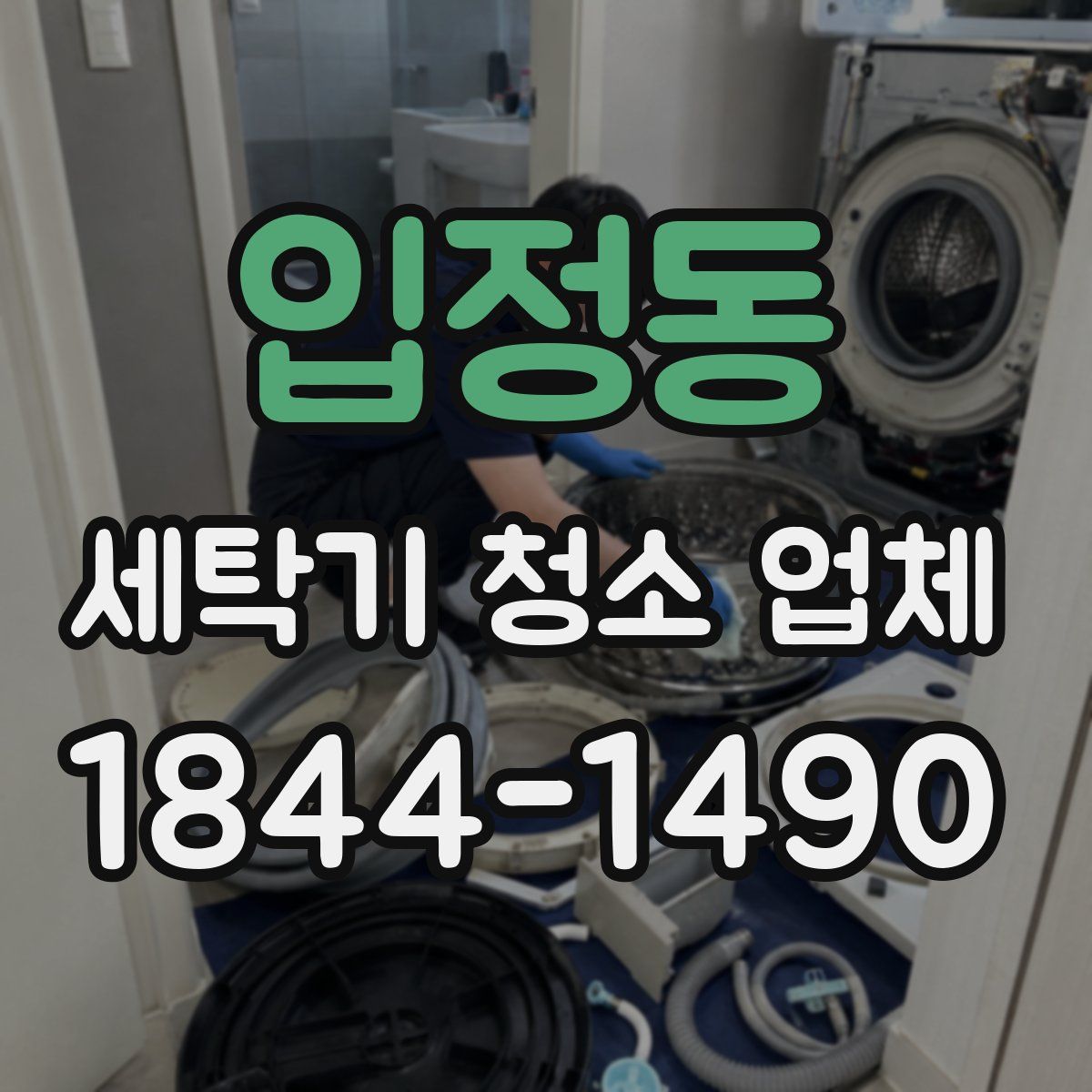 입정동 세탁기 청소 업체