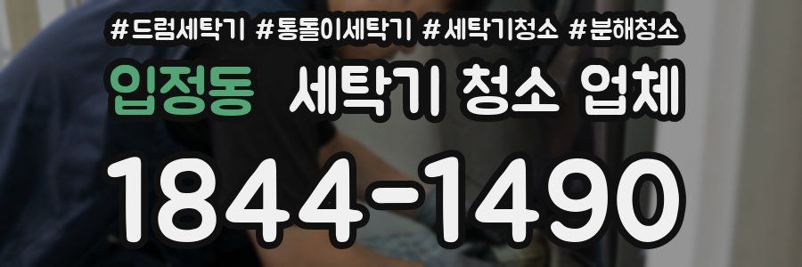 입정동 세탁기 청소 업체