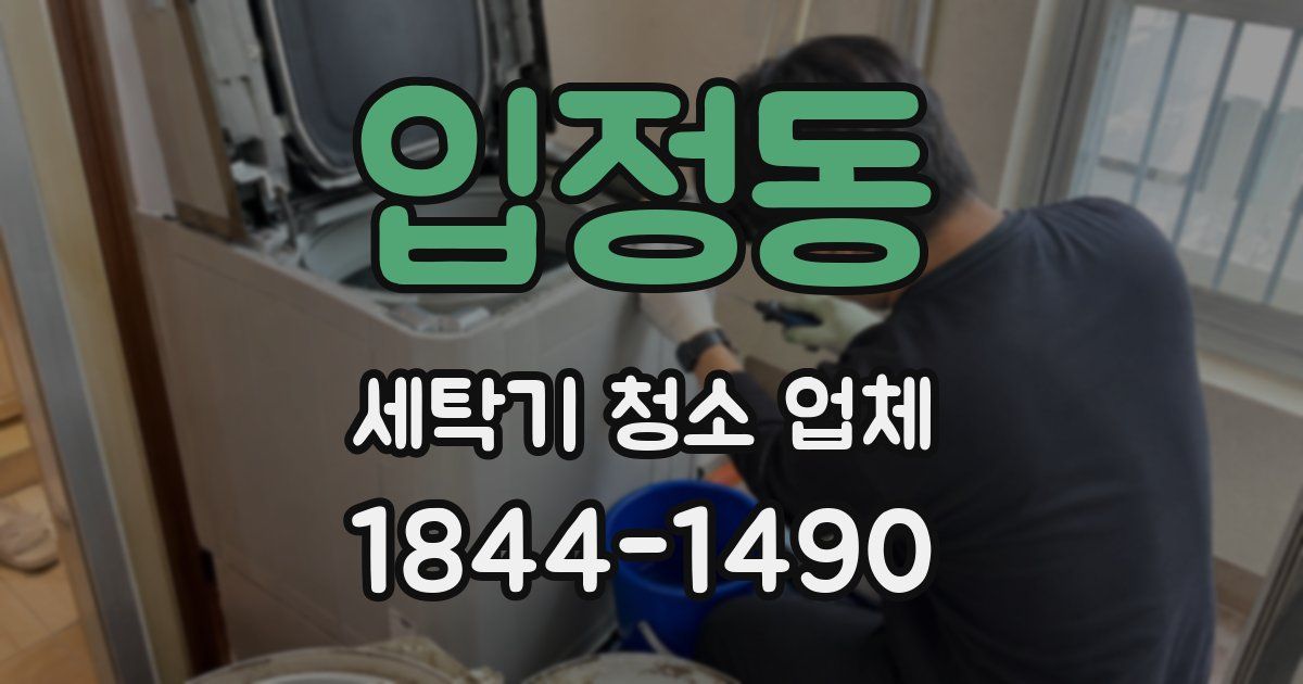 입정동 세탁기 청소 업체