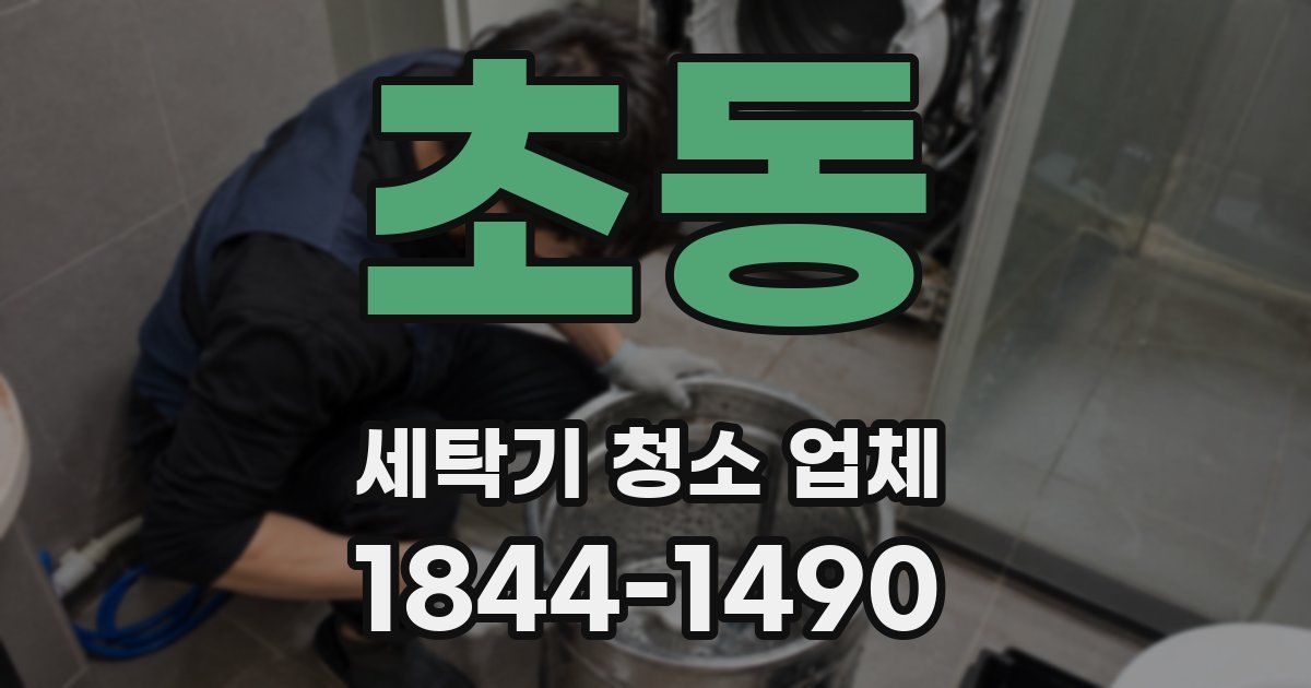초동 세탁기 청소 업체