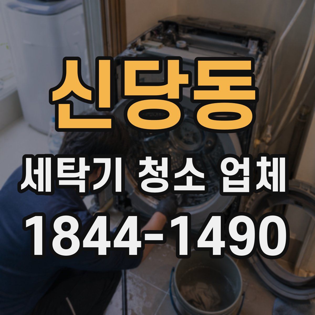 신당동 세탁기 청소 업체