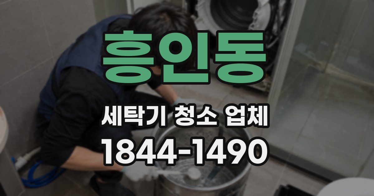 흥인동 세탁기 청소 업체