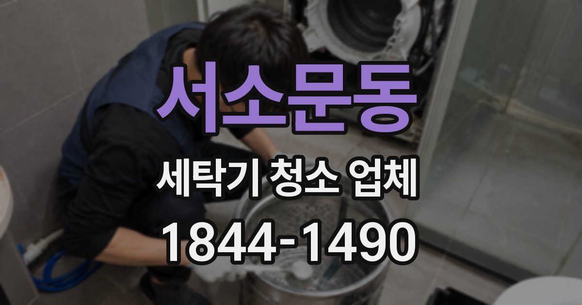 서소문동 세탁기 청소 업체