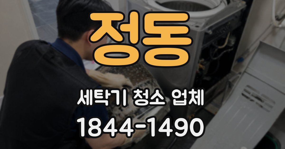 정동 세탁기 청소 업체