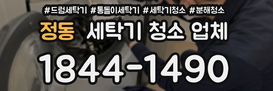 정동 세탁기 청소 업체