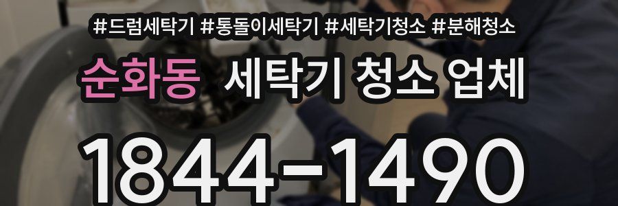 순화동 세탁기 청소 업체